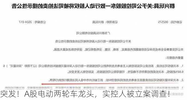 突发！A股电动两轮车龙头，实控人被立案调查！