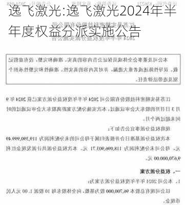 逸飞激光:逸飞激光2024年半年度权益分派实施公告