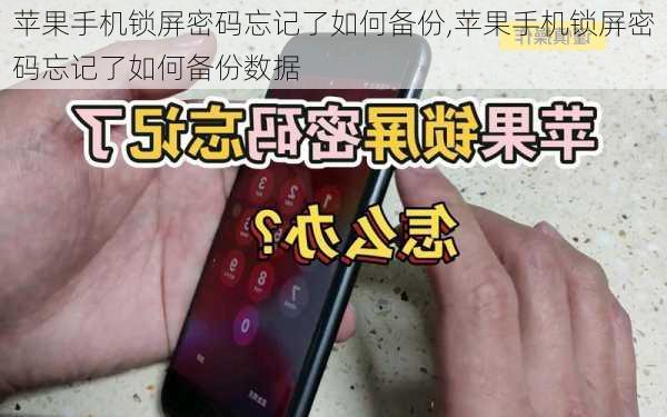 苹果手机锁屏密码忘记了如何备份,苹果手机锁屏密码忘记了如何备份数据