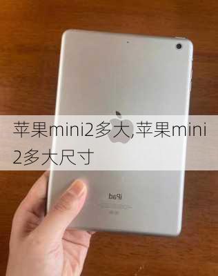 苹果mini2多大,苹果mini2多大尺寸