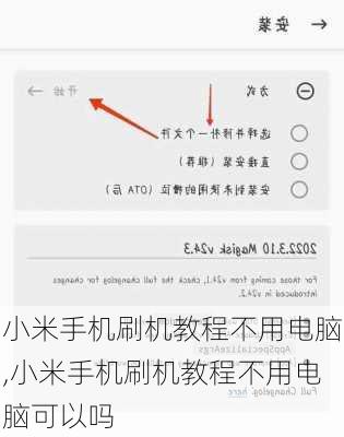 小米手机刷机教程不用电脑,小米手机刷机教程不用电脑可以吗