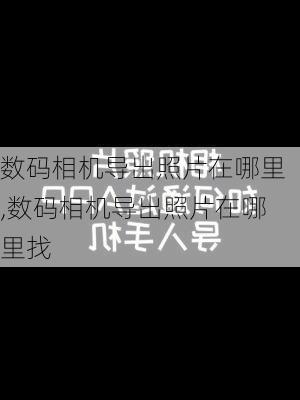 数码相机导出照片在哪里,数码相机导出照片在哪里找