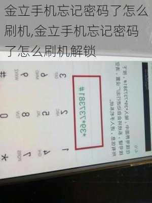 金立手机忘记密码了怎么刷机,金立手机忘记密码了怎么刷机解锁