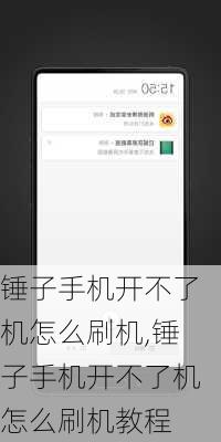锤子手机开不了机怎么刷机,锤子手机开不了机怎么刷机教程