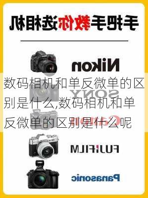 数码相机和单反微单的区别是什么,数码相机和单反微单的区别是什么呢