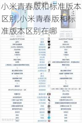 小米青春版和标准版本区别,小米青春版和标准版本区别在哪