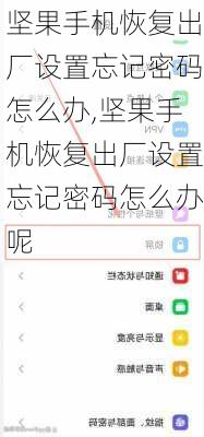 坚果手机恢复出厂设置忘记密码怎么办,坚果手机恢复出厂设置忘记密码怎么办呢
