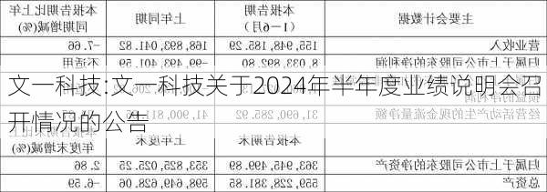 文一科技:文一科技关于2024年半年度业绩说明会召开情况的公告