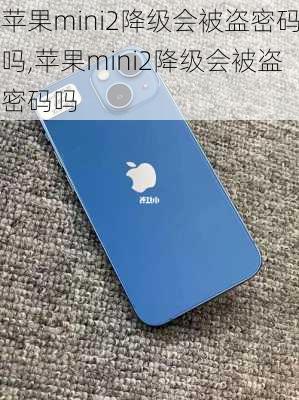 苹果mini2降级会被盗密码吗,苹果mini2降级会被盗密码吗