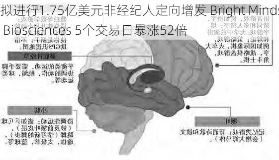 拟进行1.75亿美元非经纪人定向增发 Bright Minds Biosciences 5个交易日暴涨52倍