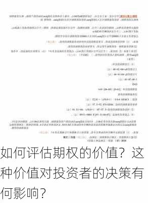 如何评估期权的价值？这种价值对投资者的决策有何影响？