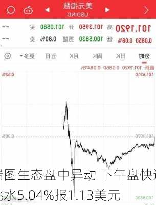 瑞图生态盘中异动 下午盘快速跳水5.04%报1.13美元