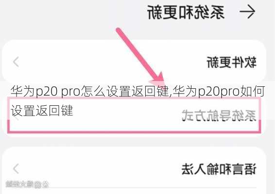 华为p20 pro怎么设置返回键,华为p20pro如何设置返回键