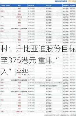 野村：升比亚迪股份目标价至375港元 重申“买入”评级