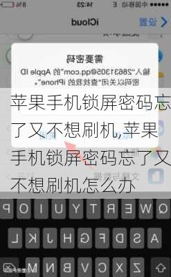 苹果手机锁屏密码忘了又不想刷机,苹果手机锁屏密码忘了又不想刷机怎么办