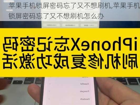 苹果手机锁屏密码忘了又不想刷机,苹果手机锁屏密码忘了又不想刷机怎么办