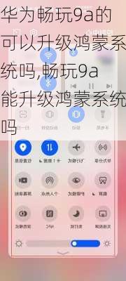 华为畅玩9a的可以升级鸿蒙系统吗,畅玩9a能升级鸿蒙系统吗