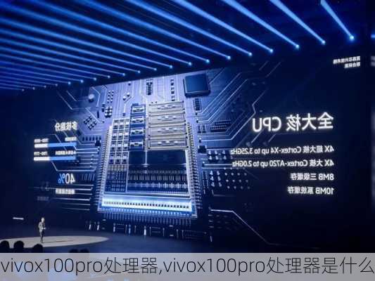 vivox100pro处理器,vivox100pro处理器是什么