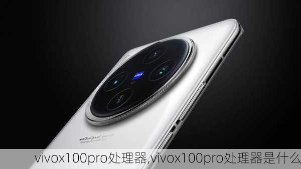 vivox100pro处理器,vivox100pro处理器是什么