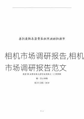 相机市场调研报告,相机市场调研报告范文