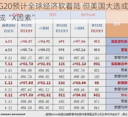 G20预计全球经济软着陆 但美国大选或成“X因素”