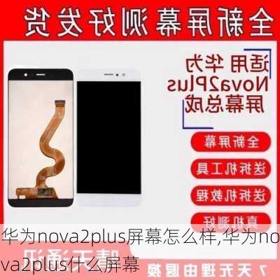 华为nova2plus屏幕怎么样,华为nova2plus什么屏幕