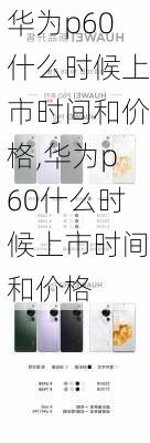 华为p60什么时候上市时间和价格,华为p60什么时候上市时间和价格