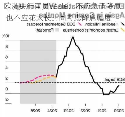 欧洲央行官员Vasle：不应急于降息 也不应花太长时间考虑降息幅度