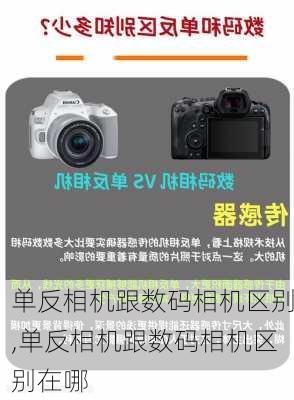 单反相机跟数码相机区别,单反相机跟数码相机区别在哪