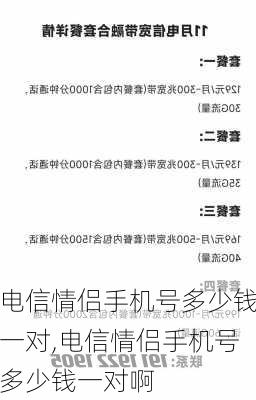 电信情侣手机号多少钱一对,电信情侣手机号多少钱一对啊