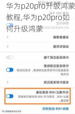 华为p20pro升级鸿蒙教程,华为p20pro如何升级鸿蒙