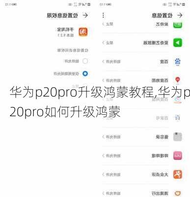 华为p20pro升级鸿蒙教程,华为p20pro如何升级鸿蒙