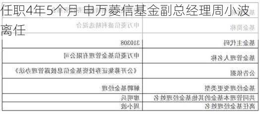 任职4年5个月 申万菱信基金副总经理周小波离任