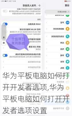 华为平板电脑如何打开开发者选项,华为平板电脑如何打开开发者选项设置