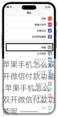 苹果手机怎么双开微信付款功能,苹果手机怎么双开微信付款功能呢