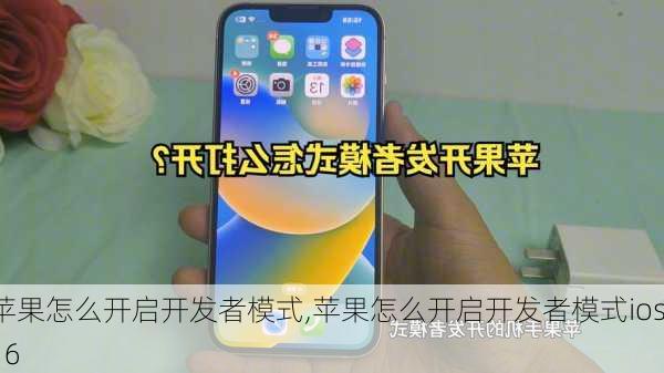 苹果怎么开启开发者模式,苹果怎么开启开发者模式ios16