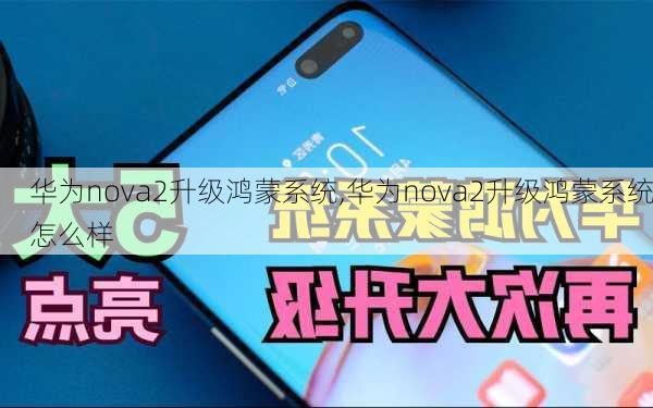 华为nova2升级鸿蒙系统,华为nova2升级鸿蒙系统怎么样