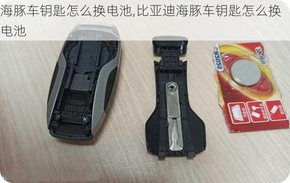 海豚车钥匙怎么换电池,比亚迪海豚车钥匙怎么换电池