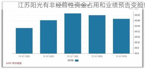 江苏阳光有非经营性资金占用和业绩预告变脸！