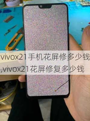 vivox21手机花屏修多少钱,vivox21花屏修复多少钱