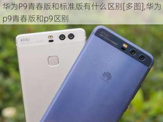 华为P9青春版和标准版有什么区别[多图],华为p9青春版和p9区别