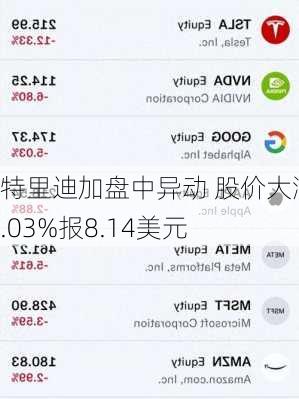 特里迪加盘中异动 股价大涨5.03%报8.14美元