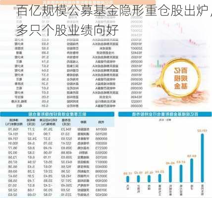 百亿规模公募基金隐形重仓股出炉，多只个股业绩向好