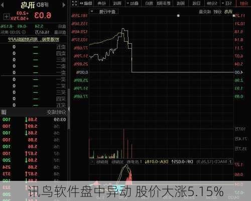 讯鸟软件盘中异动 股价大涨5.15%