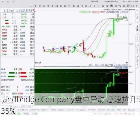 Landbridge Company盘中异动 急速拉升5.35%