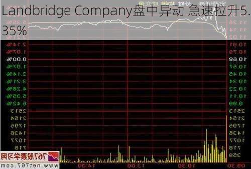 Landbridge Company盘中异动 急速拉升5.35%