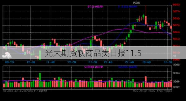 光大期货软商品类日报11.5