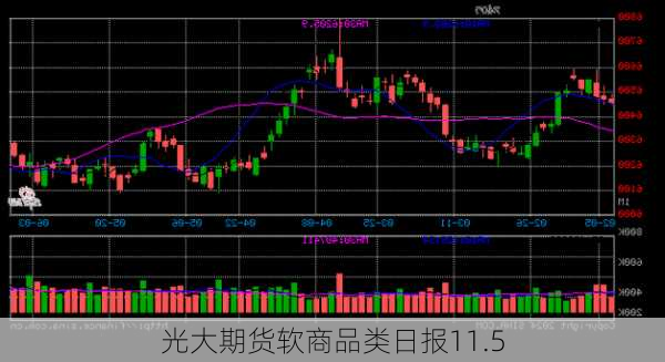 光大期货软商品类日报11.5