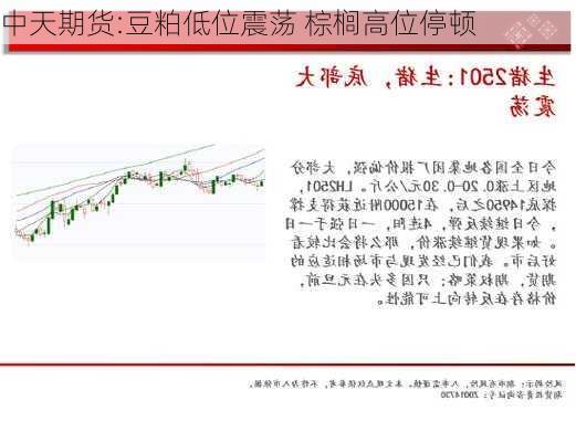 中天期货:豆粕低位震荡 棕榈高位停顿