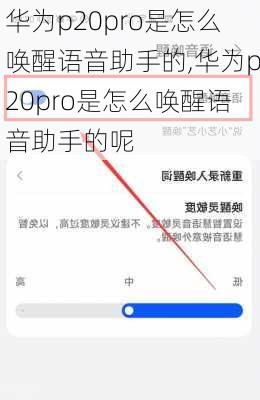 华为p20pro是怎么唤醒语音助手的,华为p20pro是怎么唤醒语音助手的呢